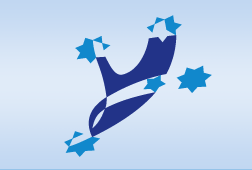 Croce del Sud su Y, logo contea diYilgarn
